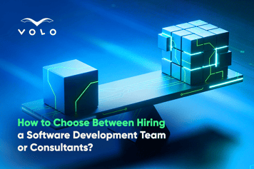 How To Choose Between Hiring A Software Development Team Or Consultants?