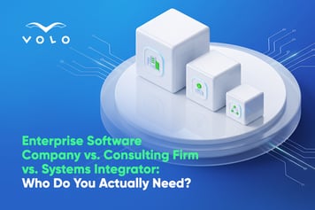 Article banner - Enterprise Software Company vs. Consulting Firm vs. Systems Integrator: Who Do You Actually Need?