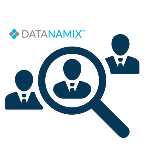 Datanamix Credit Bureau product Datanamix consumer trace report