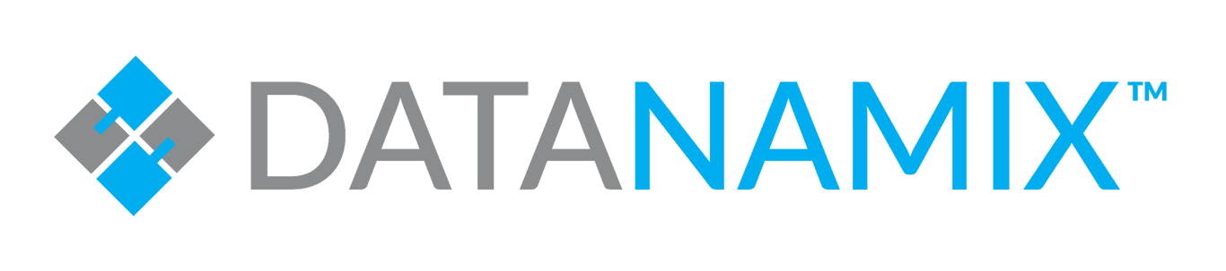 Datanamix Web Logo