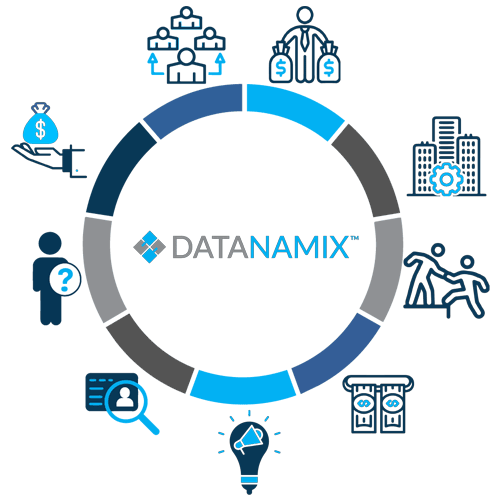 Datanamix Credit Information Bureau industry solutions