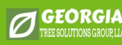 Georgia Tree Solutions Group LLC