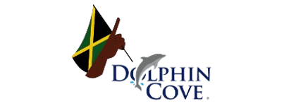Dolphin Cove Local Gems