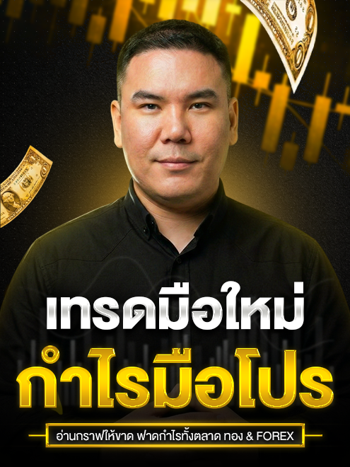 เทรดมือใหม่ กำไรมือโปร