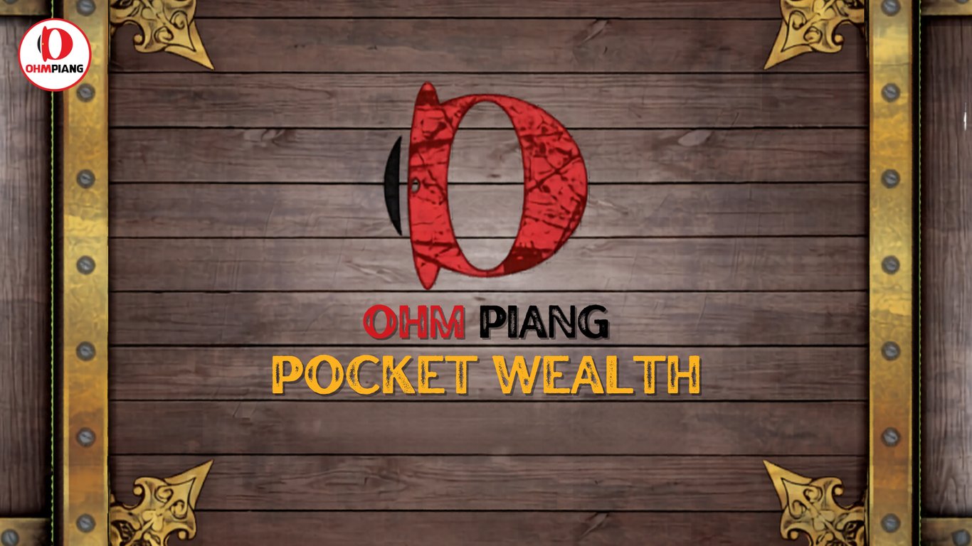Pocket Wealth Series -