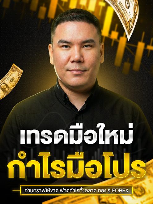 เทรดมือใหม่ กำไรมือโปร