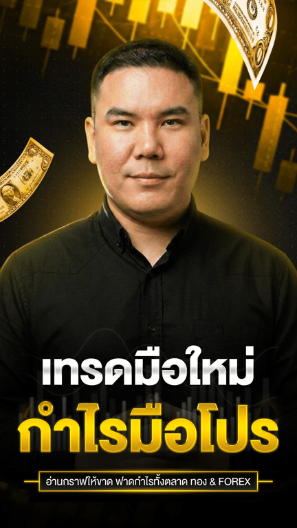 เทรดมือใหม่ กำไรมือโปร