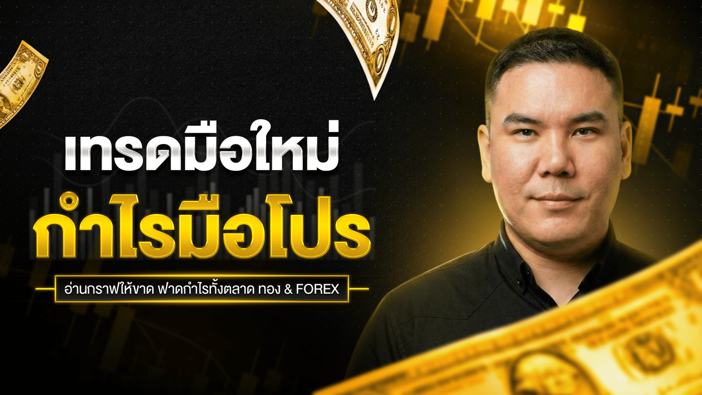 เทรดมือใหม่ กำไรมือโปร (เร็วๆ นี้)