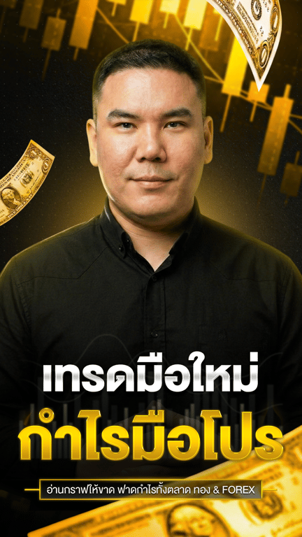 เทรดมือใหม่ กำไรมือโปร