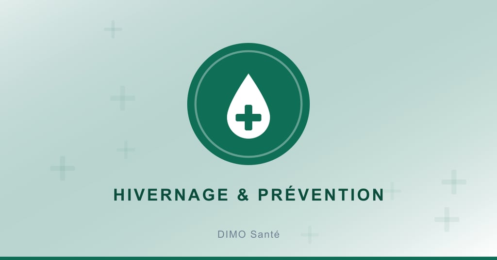 Illustration : santé et prévention pendant l'hivernage