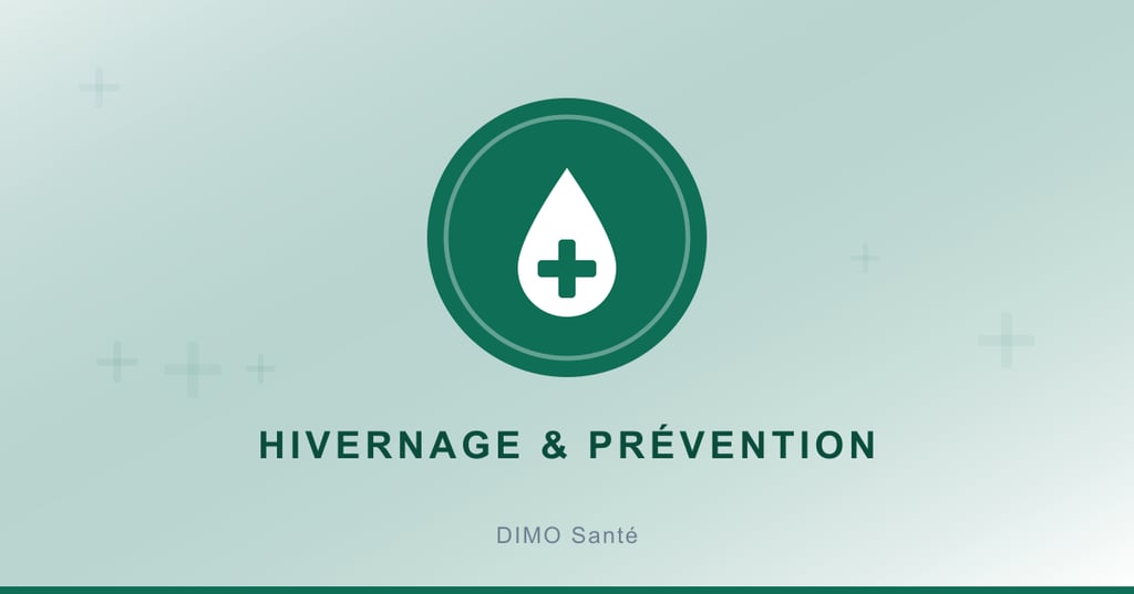 Illustration : santé et prévention pendant l'hivernage