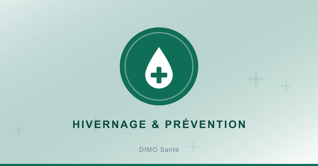 Illustration : santé et prévention pendant l'hivernage