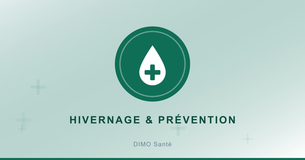 Illustration : santé et prévention pendant l'hivernage