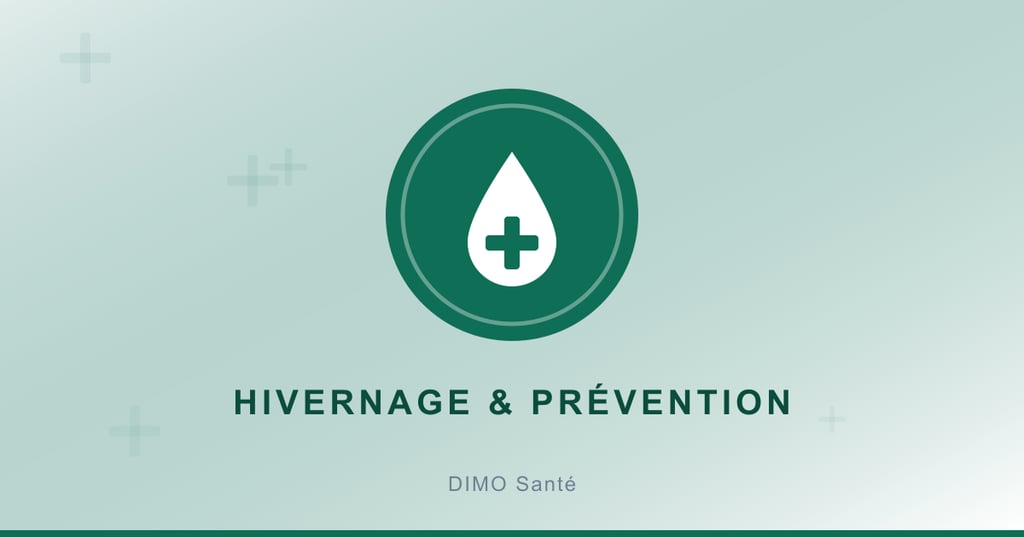 Illustration : santé et prévention pendant l'hivernage