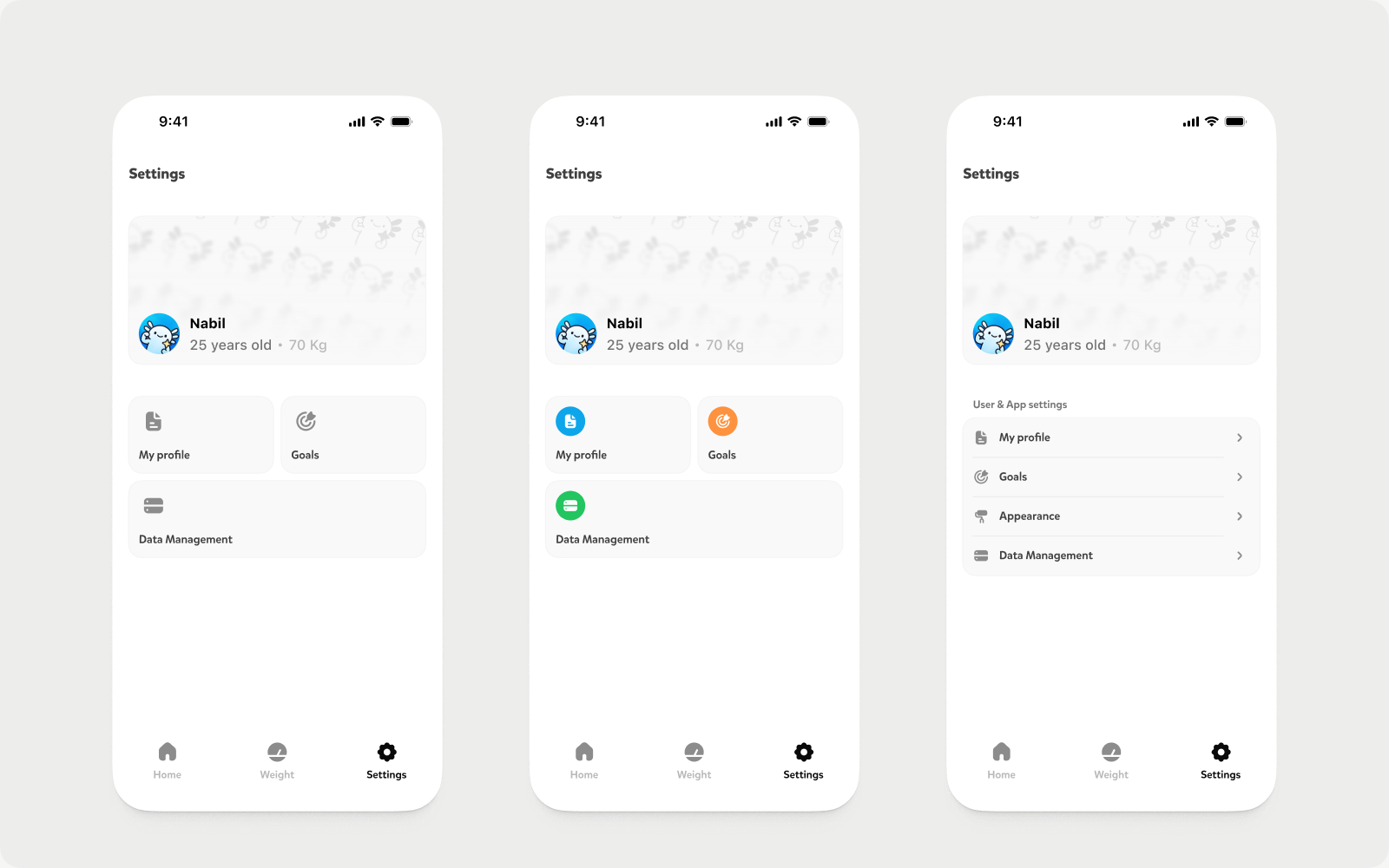 Three layout and color directions explored for Nectar settings