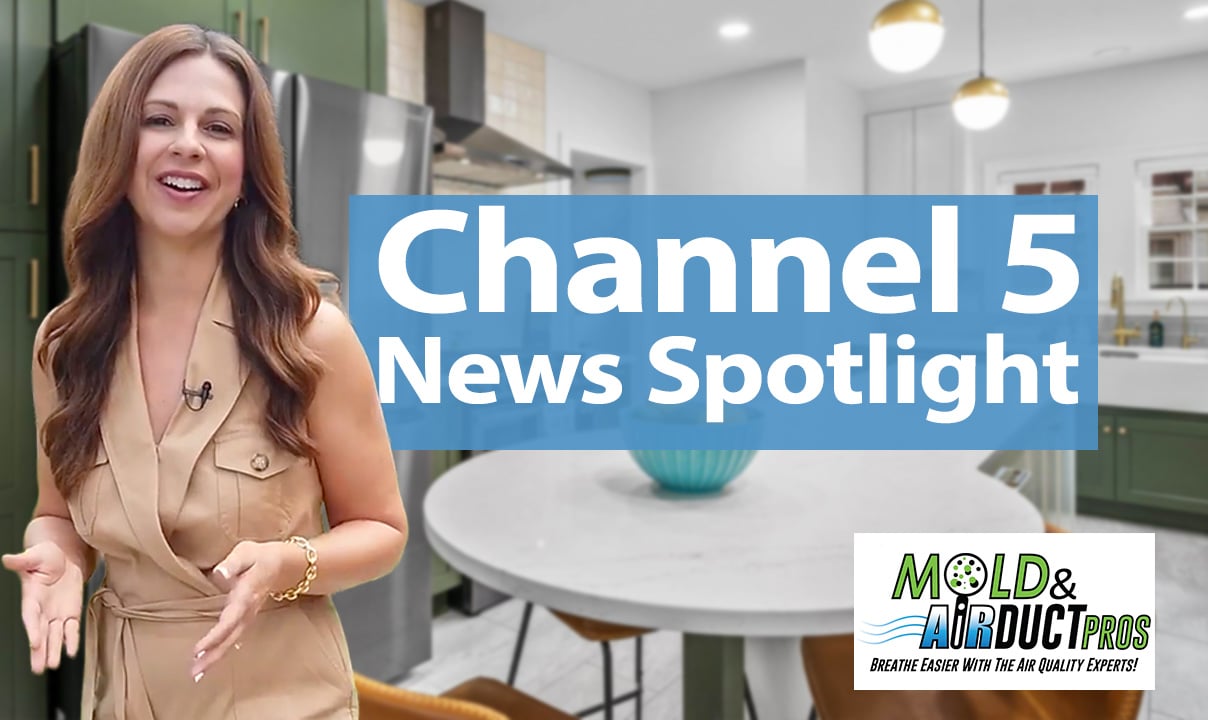 Video preview: Mold and Air Duct Pros Featured on Channel 5 News