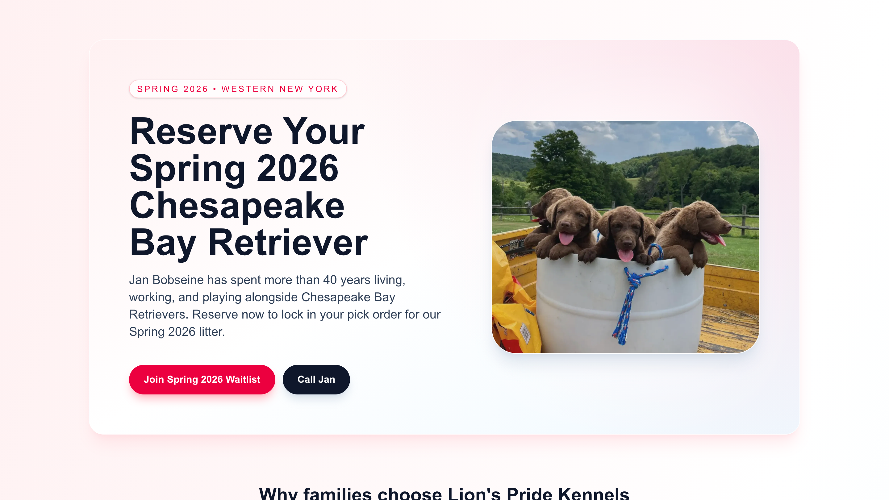 Lion's Pride Kennels website