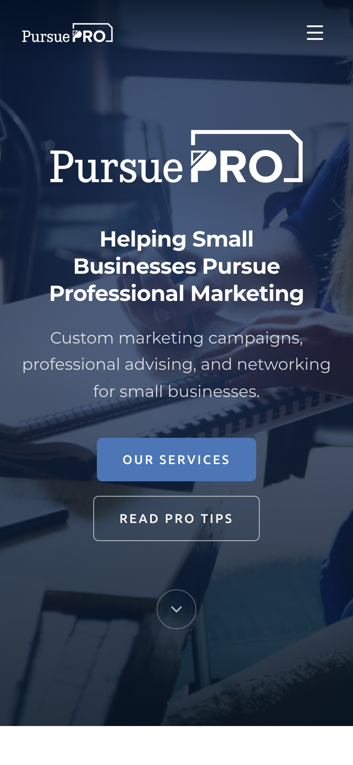 Pursue Pro website on a phone