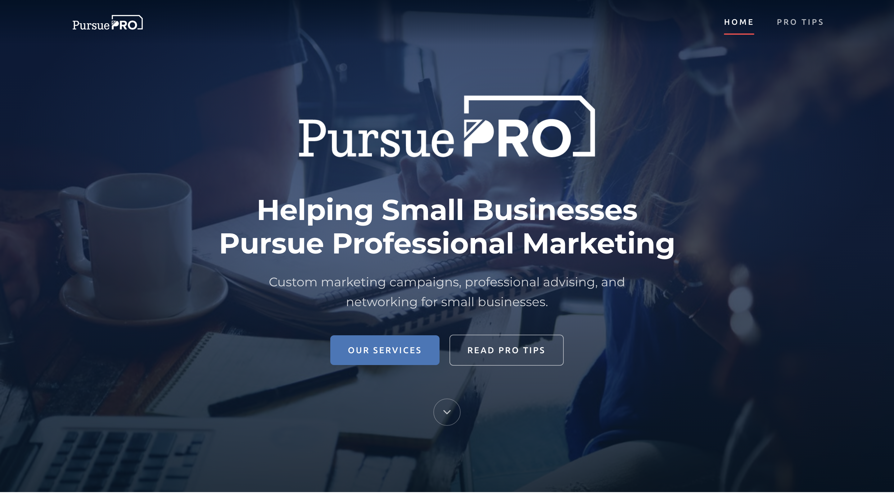 Pursue Pro website