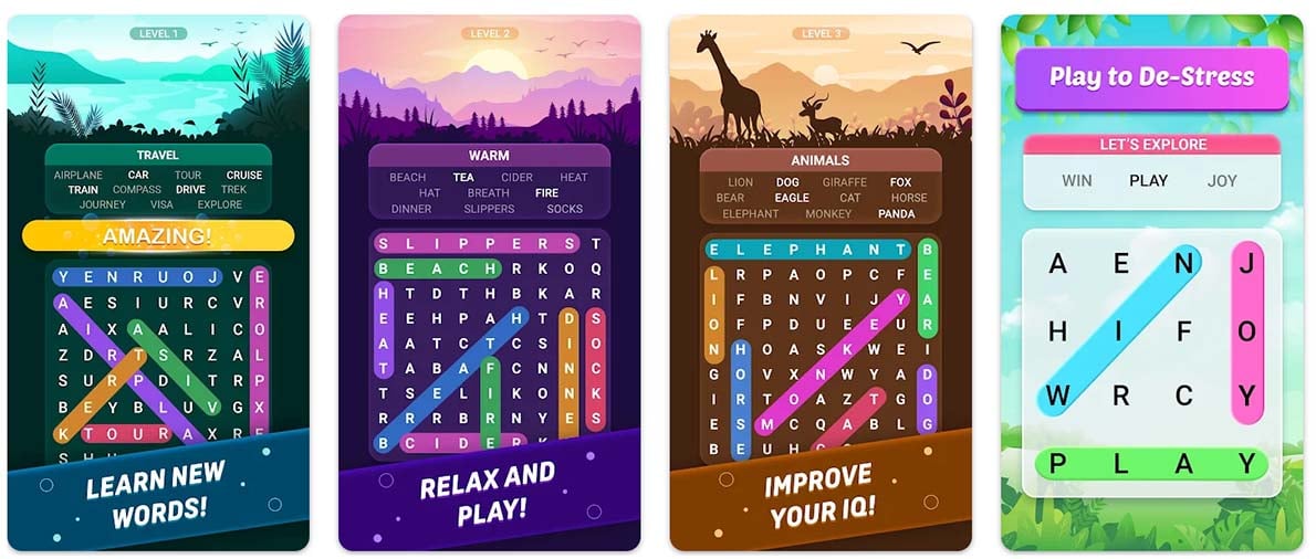 Word Search Explorer