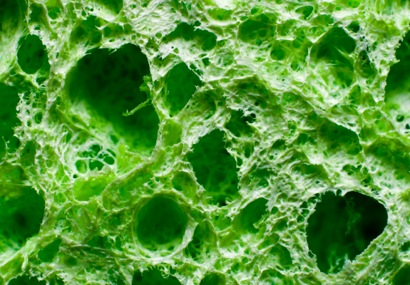 초록색 폴리우레탄 사진 표면에 구멍이 다양한 크기로 뚫려있다