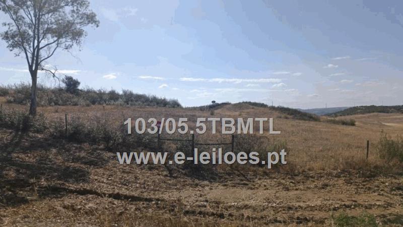 Lot view 1