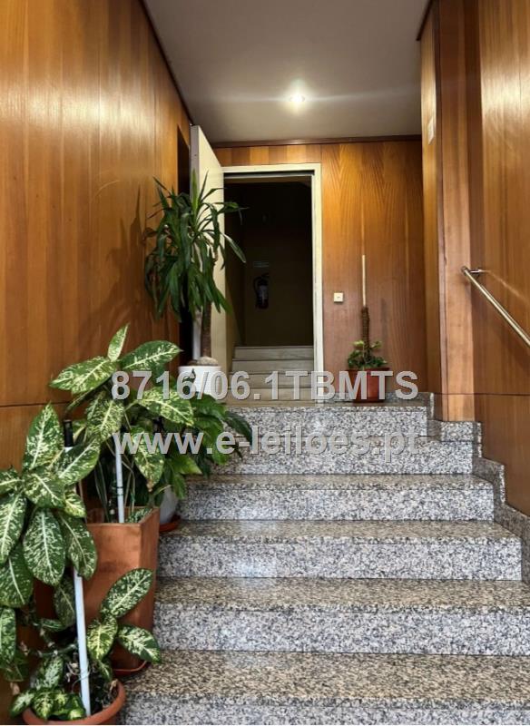 Lot view 1