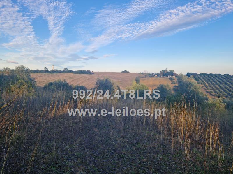 Lot view 1