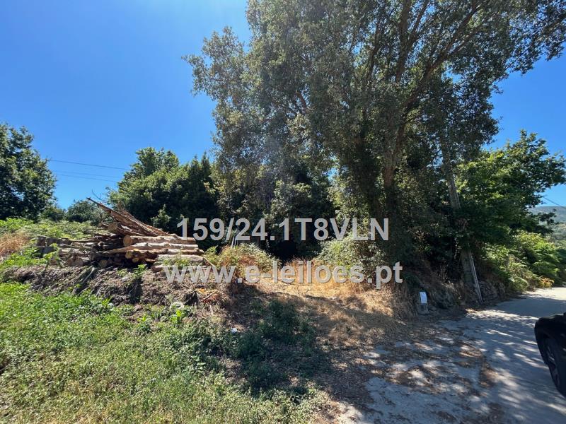 Lot view 1