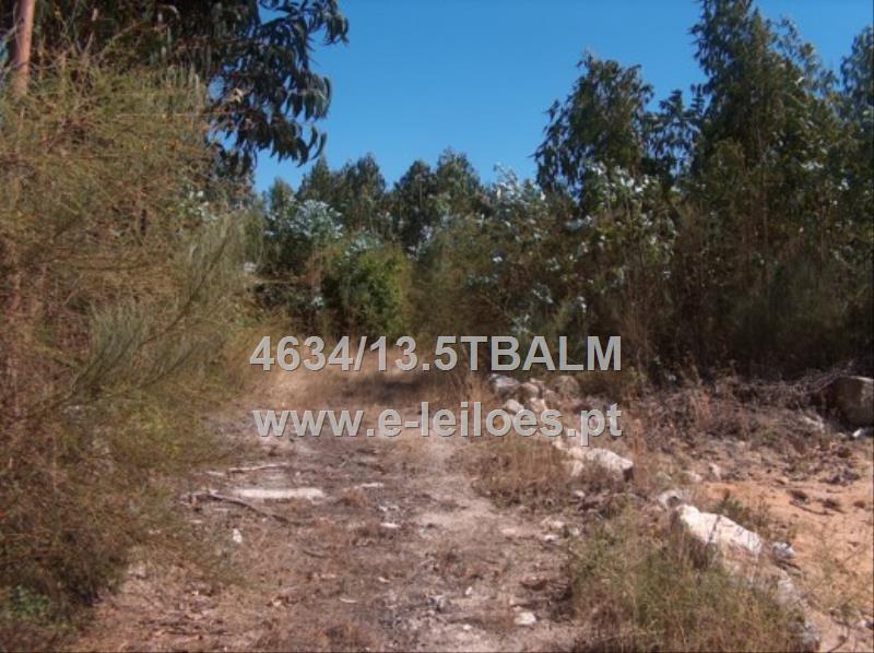 Lot view 1