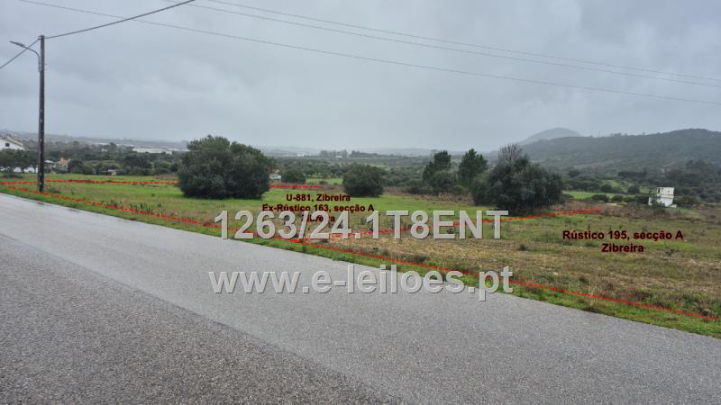 Lot view 1