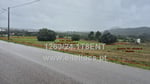 Lot Thumbnail 1