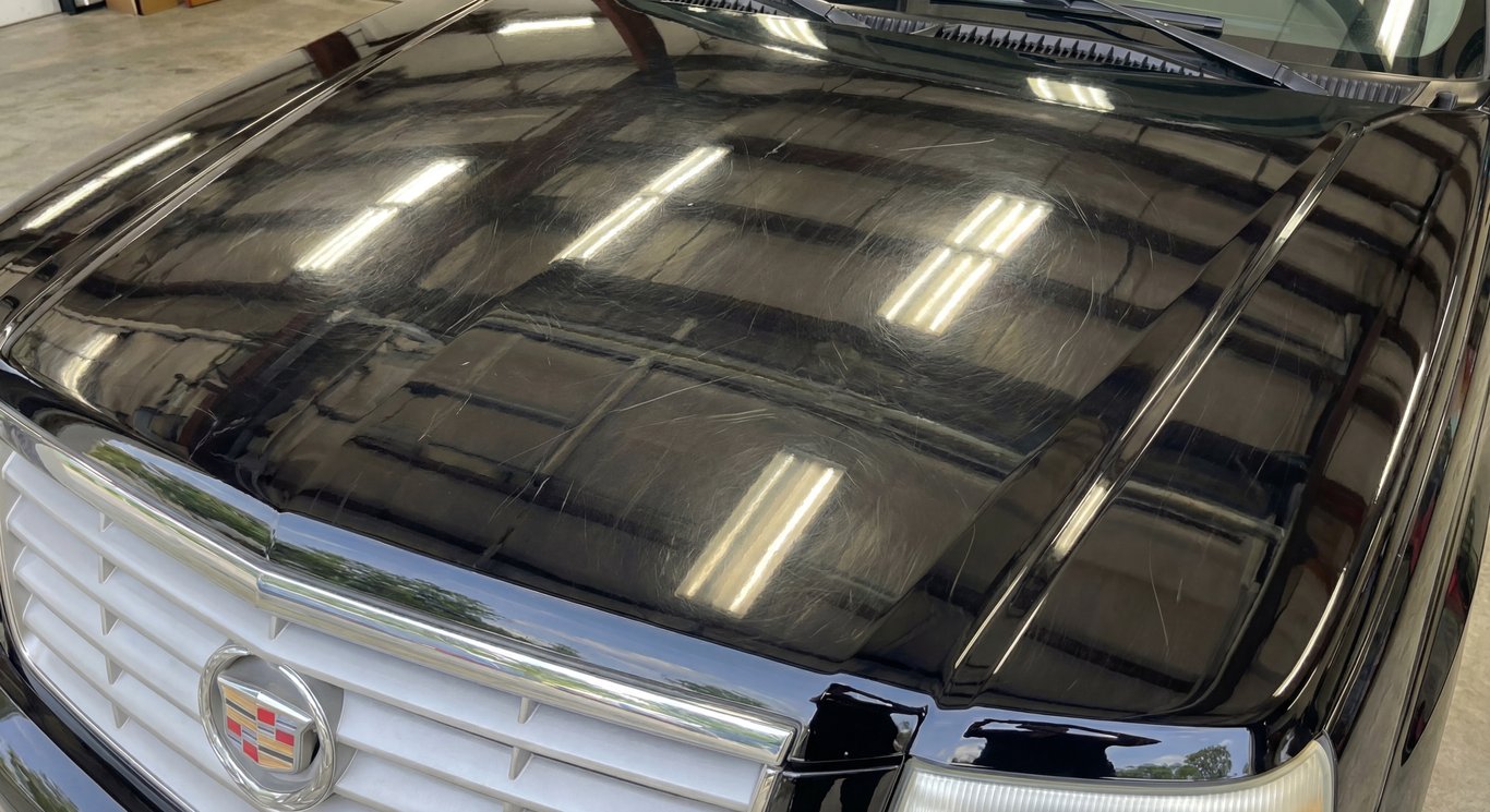 Paint Correction Before