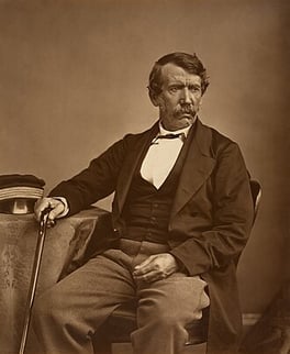 Portrait of David Livingstone