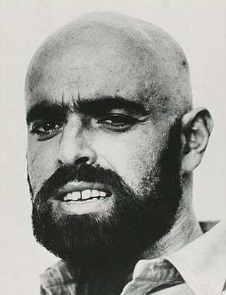 Portrait of Shel Silverstein
