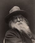 Portrait of Walt Whitman