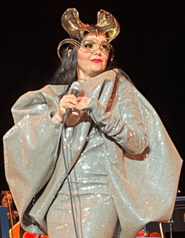 Portrait of Björk
