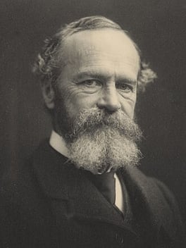Portrait of William James