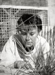 Portrait of Harper Lee
