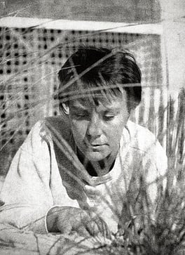 Portrait of Harper Lee
