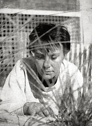 Portrait of Harper Lee