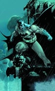 Batman from The Dark Knight