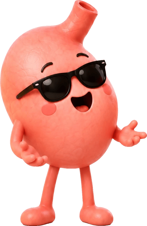 Animated stomach character in sunglasses