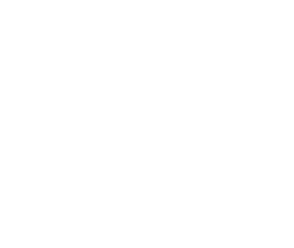 6 e1743798173523