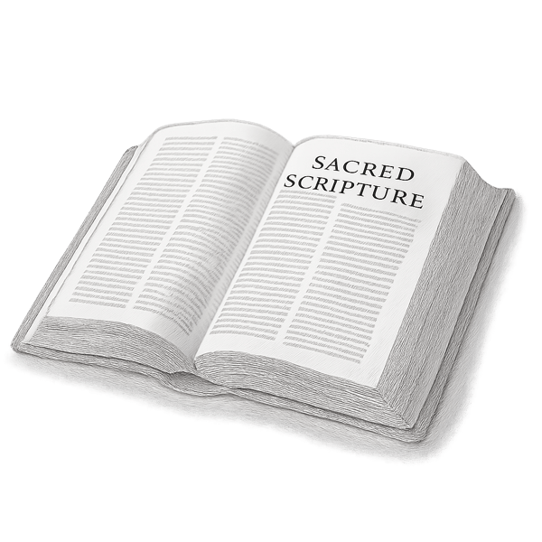 Biblical Text