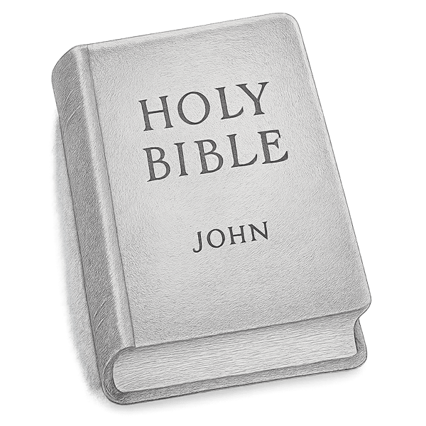 Bible (John)