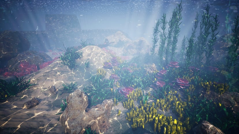 plants growing on the seabed