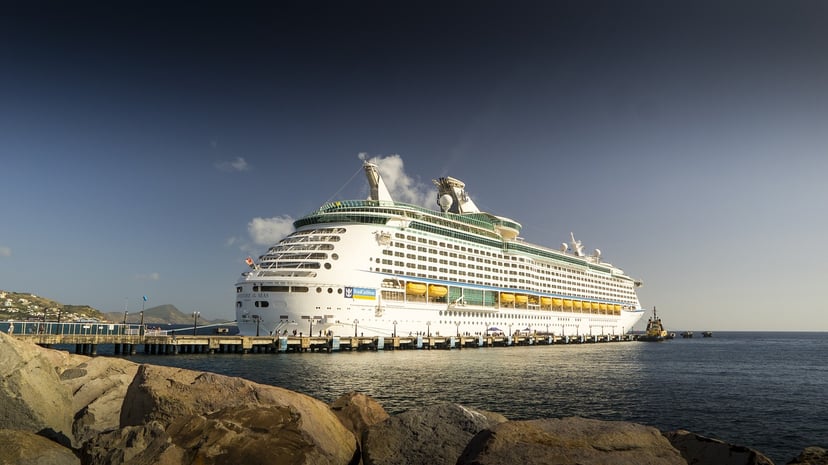 The Adventure of the Seas cruise ship in dock