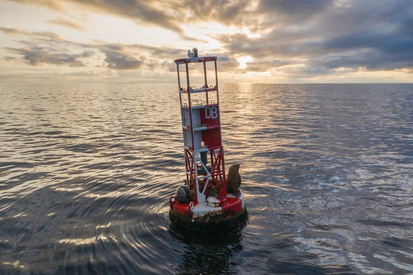 buoy.jpg