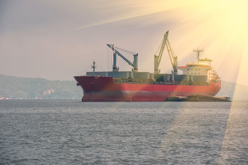 A bulk  carrier  at sea